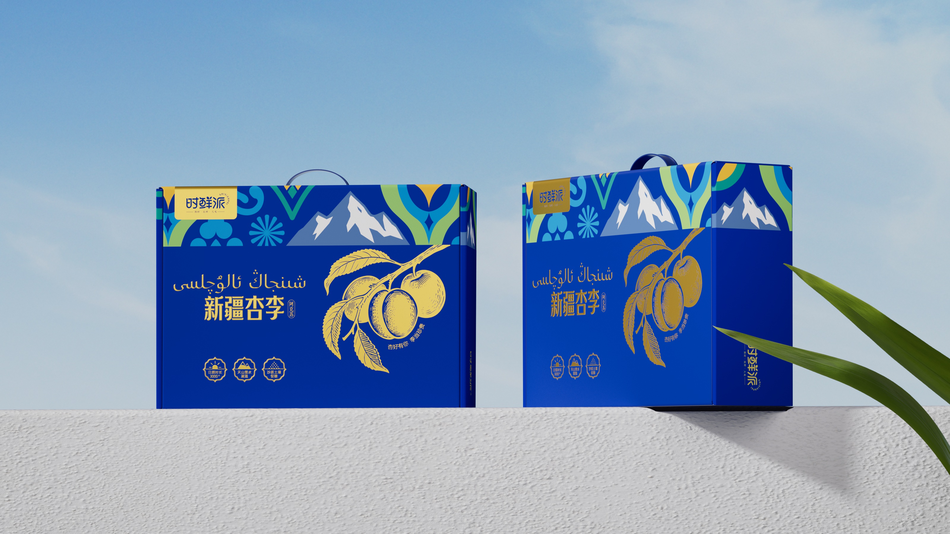 杏李天空 亮.jpg