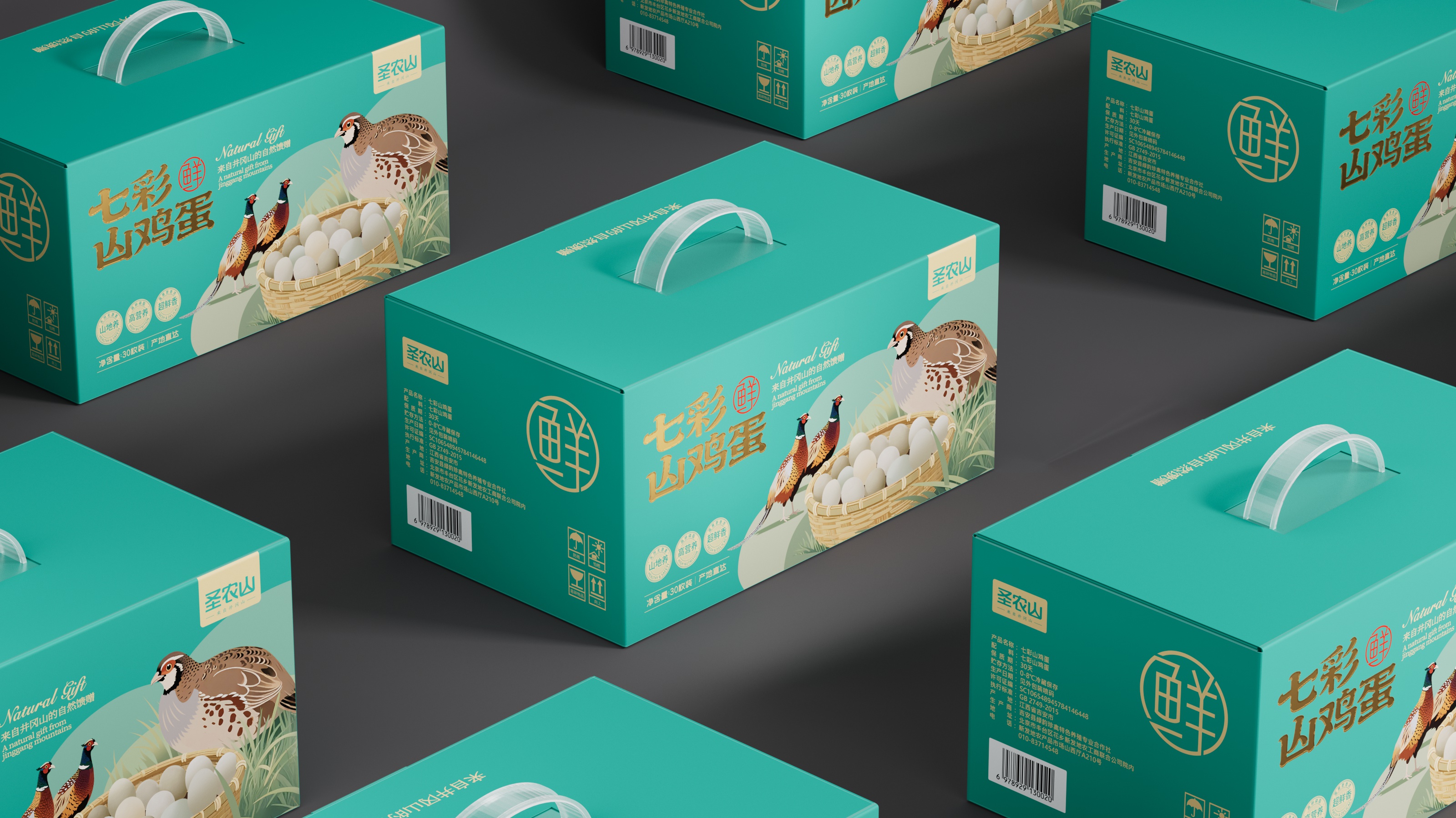 山鸡蛋阵列 - 副本.jpg