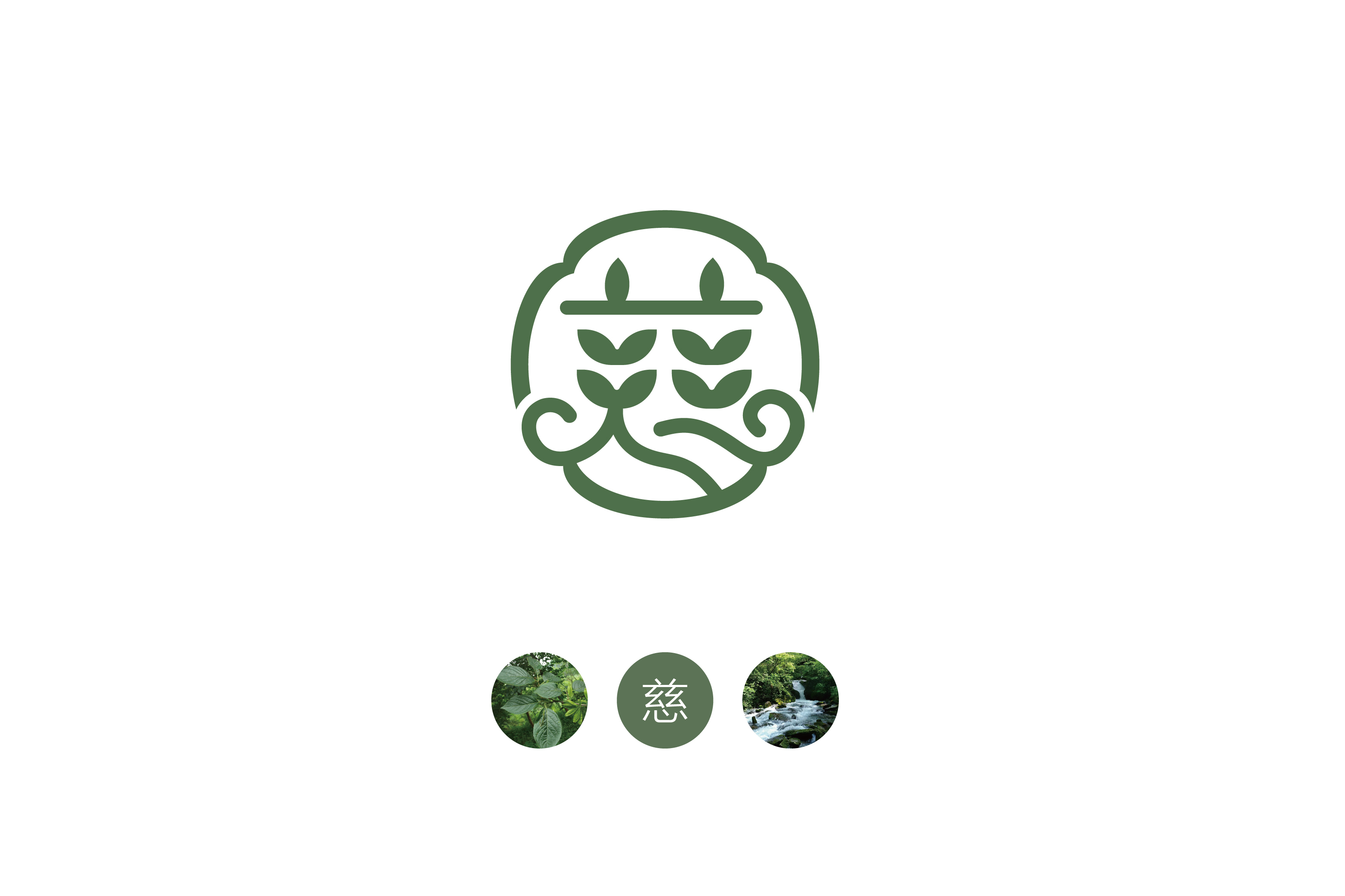 慈安堂_画板 1.jpg